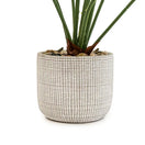 Switch Candlelight Green 50cm Cheese plant Artificial plant in Grey Ceramic Pot 2 image