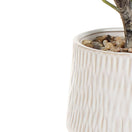 Switch Green 62cm Eucalyptus Artificial plant in Natural Ceramic Pot 3 image
