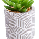 Switch Candlelight Green 12cm Succulent Artificial plant in Grey Ceramic Pot 2 image