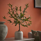 Switch Green 58cm Olive Artificial plant in Cream Speckled Ceramic Pot 2 image
