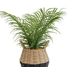 Switch Candlelight Green 20cm Palm Artificial plant in Natural Wicker Basket 2 image