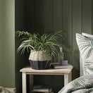 Switch Candlelight Green 20cm Palm Artificial plant in Natural Wicker Basket 3 image