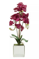 Switch Fiori Aubergine Orchid Plant Artificial Plant Foliage 2 image