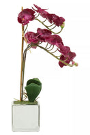 Switch Fiori Aubergine Orchid Plant Artificial Plant Foliage 3 image