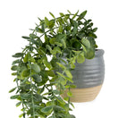 Switch 50cm Eucalyptus Artificial plant in Grey Ceramic Pot 3 image