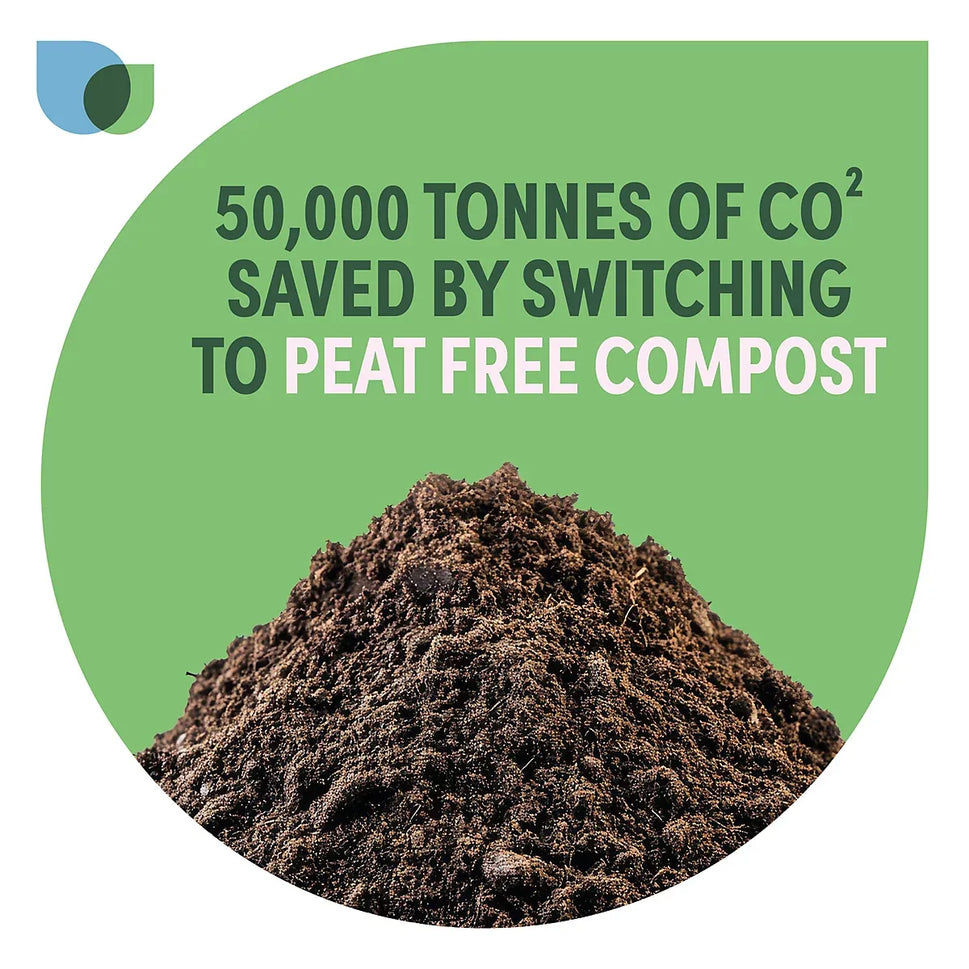 Verve Ericaceous Peat-free Compost 50L