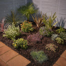 Switch Verve Landscape Dark brown Small Bark chippings 100L Bag 3 image
