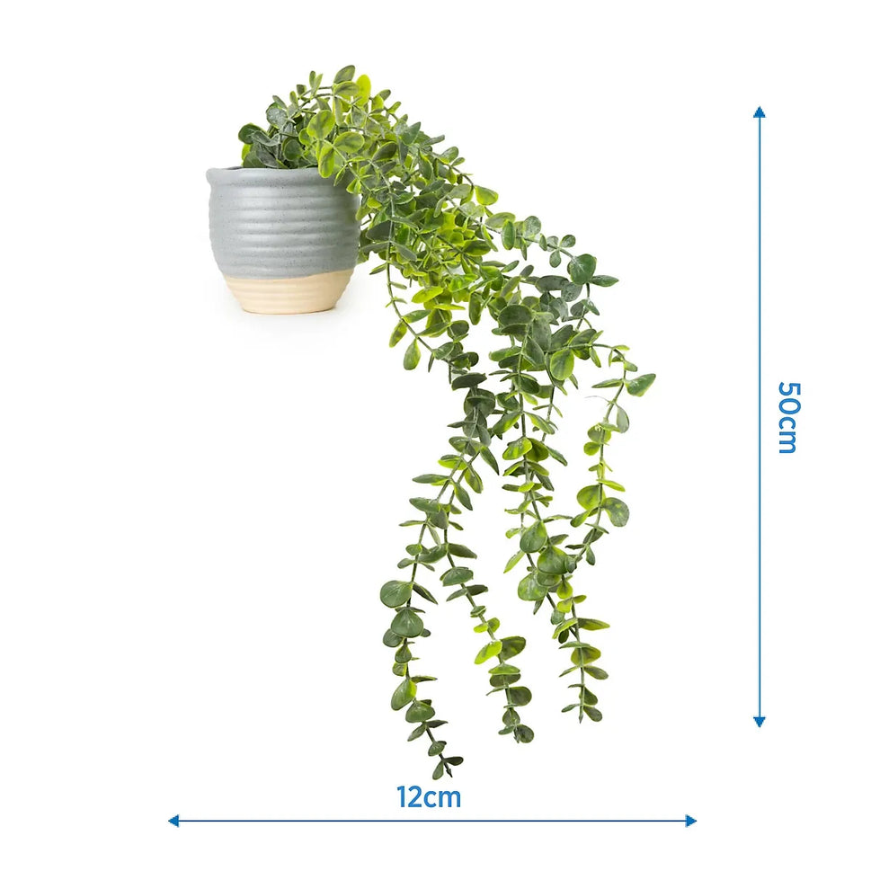 50cm Eucalyptus Artificial plant in Grey Ceramic Pot