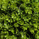 Switch HOMCOM Potted Artificial Plants Boxwood Ball Topiary Trees Indoor Outdoor, 90cm 3 image